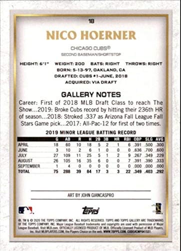 2020 Topps Galeri Beyzbol Gökkuşağı Folyo 18 Nico Hoerner RC Çaylak Chicago Cubs Resmi MLB Ticaret Kartı Walmart Özel