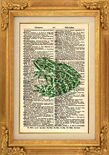 Yeşil Kurbağa Sanat Baskı-Amfibi Yapıt-Vintage Kurbağa İllüstrasyon-Vintage Sanat Baskı-Vintage Sözlük Sanat Baskı-Kurbağa Duvar