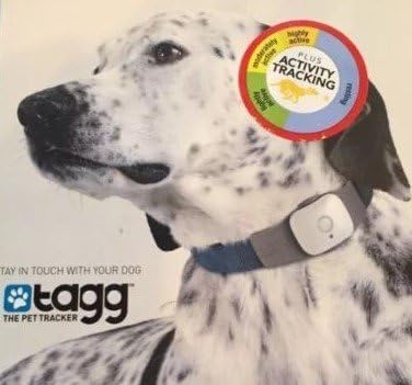 Köpekler için Evcil Hayvan Takip Cihazını TAGG (Yeni / BEYAZ)