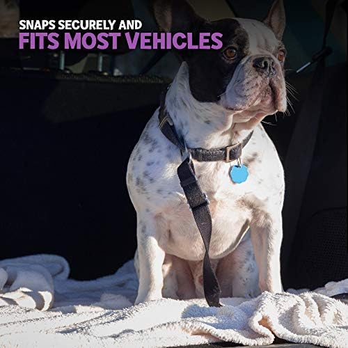 Kaniş Pet Kolay Tıklayın Köpekler için Araba Emniyet Kemeri / Ayarlanabilir Uzunluk Naylon Kayış ve Metal Araba Koltuğu Toka