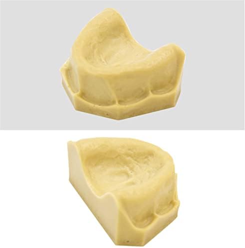 EWGAO 3 PCS Diş Bakımı Modeli, Oral İmplant Uygulama Modeli, Diş Öğretim Gösteri Modeli, doktor-Hasta İletişim Aracı için Eğitim
