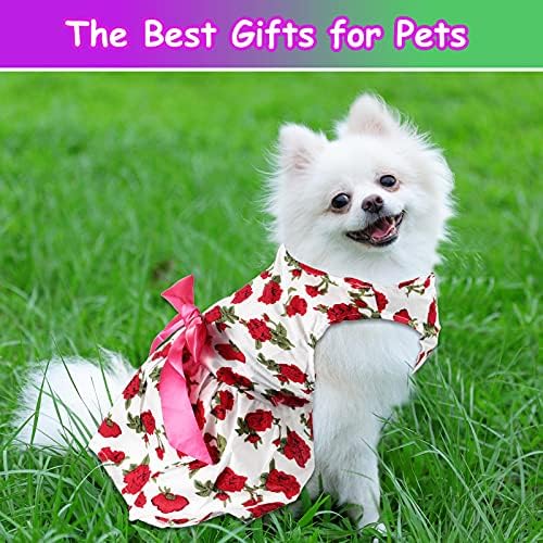4 Parça Sevimli Pet Elbise Zarif Şerit Pet Giyim Güzel Yay Köpek Elbise Limon Çiçek Pet Giyim Köpek Giysileri Sevimli Tutu Prenses
