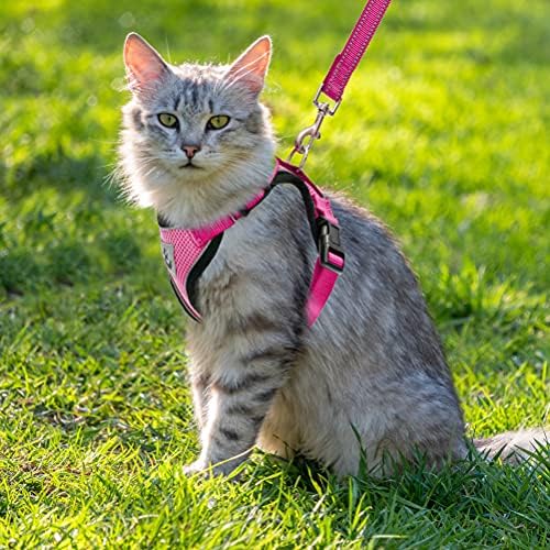 PUPTECK Kedi Koşum ve Tasma Seti-Ayarlanabilir Yelek Kaçış Geçirmez Koşum için Yavru Küçük Orta Kediler, Geri Çekilebilir Nefes