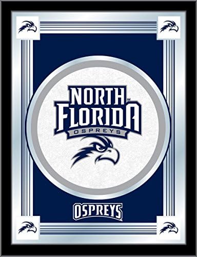 Holland Bar Taburesi A. Ş. Kuzey Florida Ospreys Toplayıcı Logo Aynası (17 x 22)