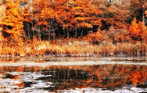 Sonbahar Ekinoksu / Sonbahar Renklerinin Zengin Gösterimi / Manzara, Deniz Manzarası / Güzel Sanatlar Fotoğraf Baskısı