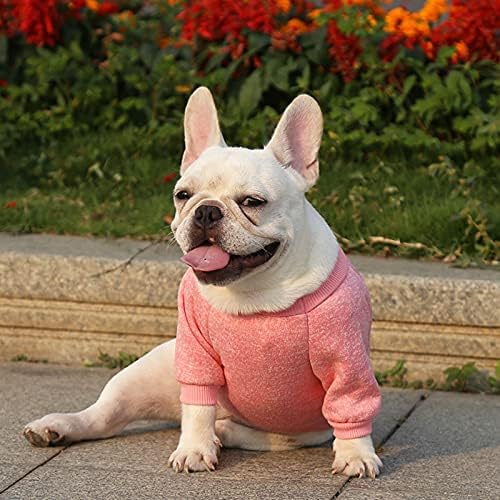 Mummumi Küçük Köpek Giysileri, Köpek Yumuşak Kalınlaşma Sıcak Sonbahar Dış Giyim Kedi Rüzgar Geçirmez Köpek Örgü Kazak Kış Giysileri